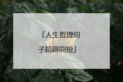 人生哲理句子精辟简短