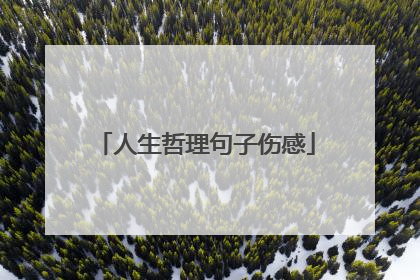 人生哲理句子伤感