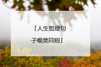 人生哲理句子唯美简短