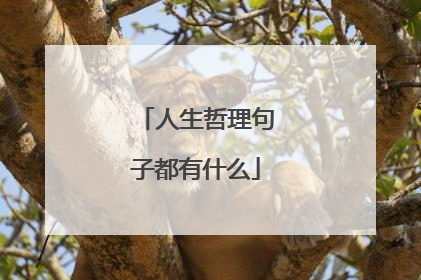 人生哲理句子都有什么