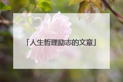 人生哲理励志的文章