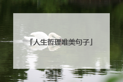 人生哲理唯美句子
