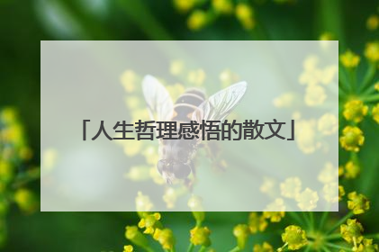 人生哲理感悟的散文