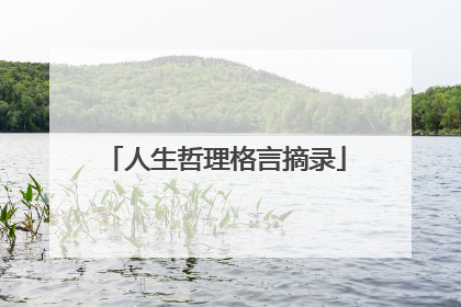 人生哲理格言摘录