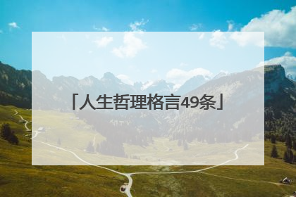 人生哲理格言49条