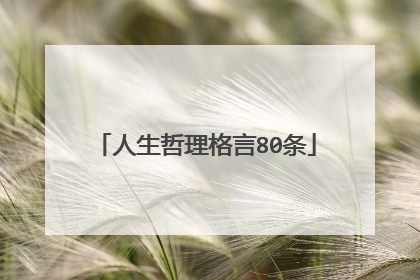 人生哲理格言80条