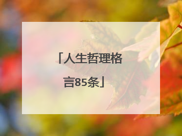 人生哲理格言85条