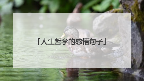 人生哲学的感悟句子