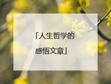 人生哲学的感悟文章