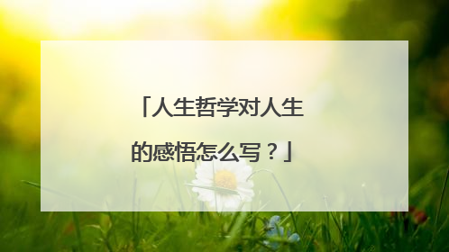 人生哲学对人生的感悟怎么写？