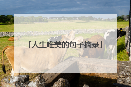 人生唯美的句子摘录