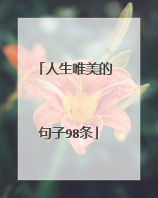 人生唯美的句子98条