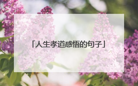 人生孝道感悟的句子