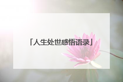 人生处世感悟语录
