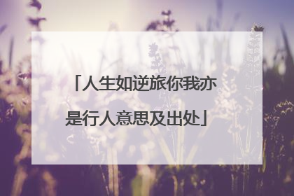 人生如逆旅你我亦是行人意思及出处