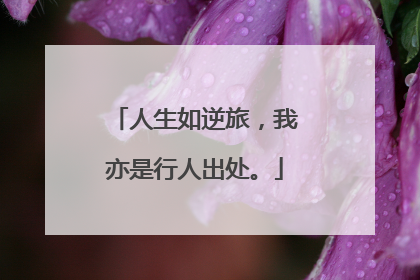 人生如逆旅，我亦是行人出处。
