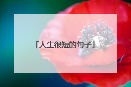 人生很短的句子