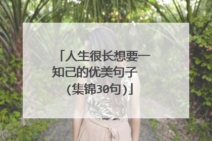 人生很长想要一知己的优美句子 (集锦30句)