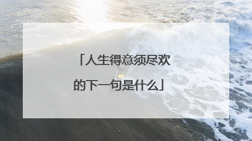 人生得意须尽欢的下一句是什么