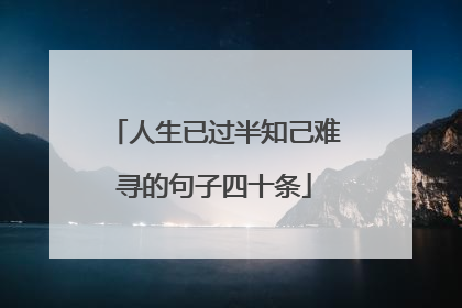 人生已过半知己难寻的句子四十条