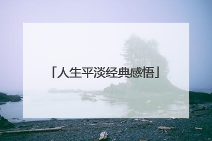 人生平淡经典感悟
