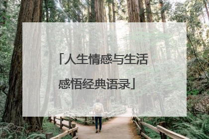 人生情感与生活感悟经典语录