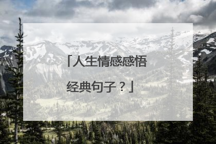 人生情感感悟经典句子？