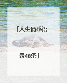 人生情感语录48条
