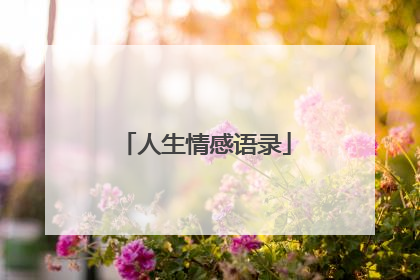 人生情感语录