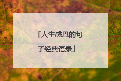人生感恩的句子经典语录