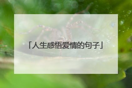 人生感悟爱情的句子