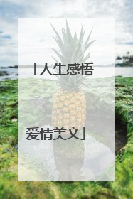 人生感悟爱情美文