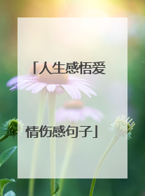 人生感悟爱情伤感句子