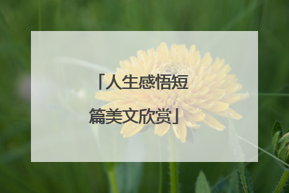 人生感悟短篇美文欣赏