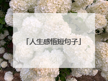 人生感悟短句子