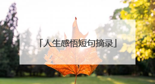 人生感悟短句摘录