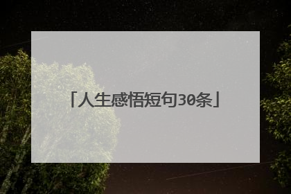 人生感悟短句30条
