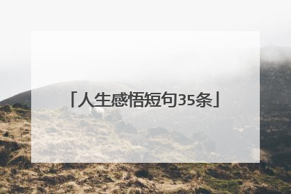 人生感悟短句35条