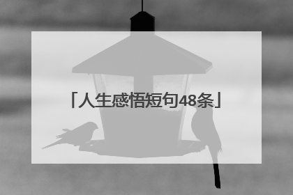 人生感悟短句48条