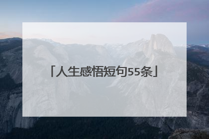 人生感悟短句55条