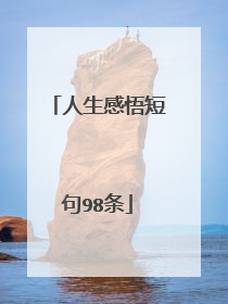 人生感悟短句98条