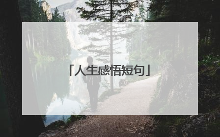 人生感悟短句
