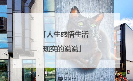 人生感悟生活现实的说说