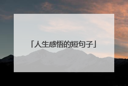 人生感悟的短句子