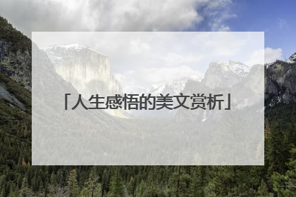 人生感悟的美文赏析