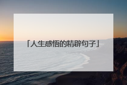 人生感悟的精辟句子