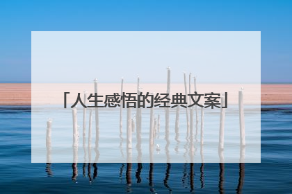 人生感悟的经典文案