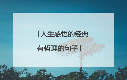 人生感悟的经典有哲理的句子