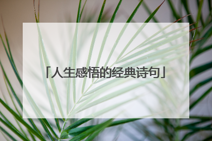 人生感悟的经典诗句