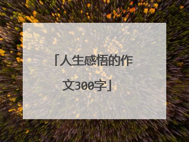 人生感悟的作文300字
